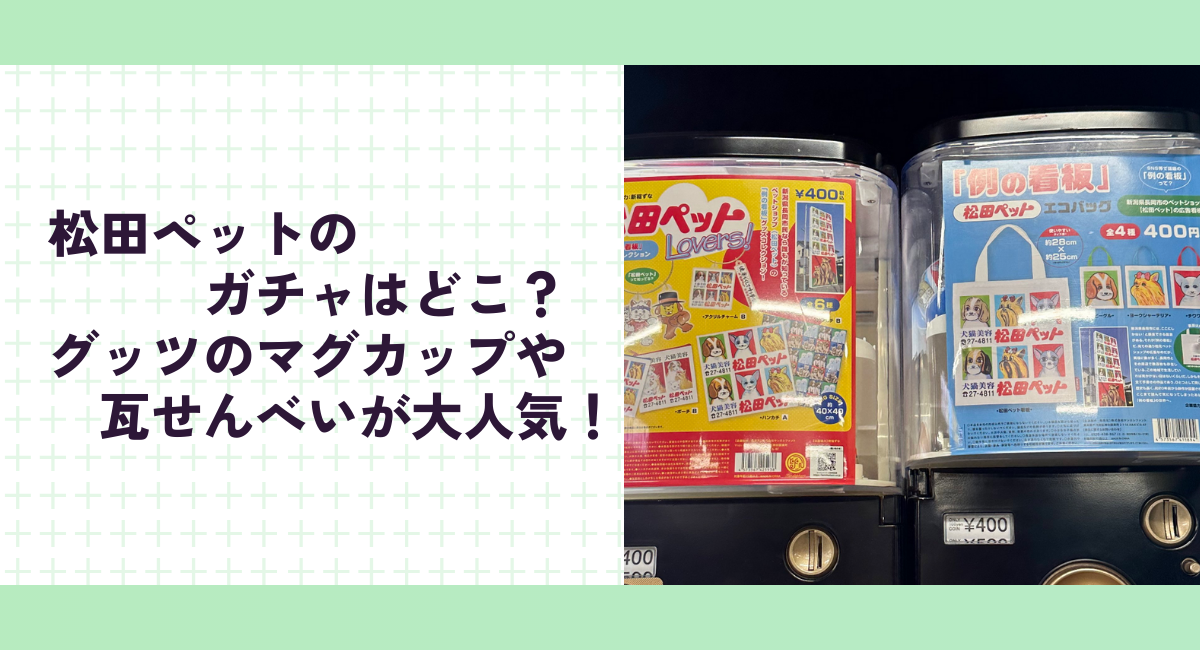 松田ペットのガチャはどこ？グッツのマグカップや瓦せんべいが大人気！